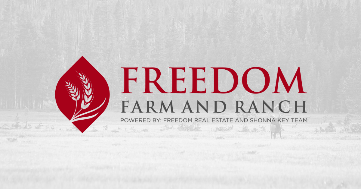 Shonna Key Team Shonna Ruble Freedom Real Estate