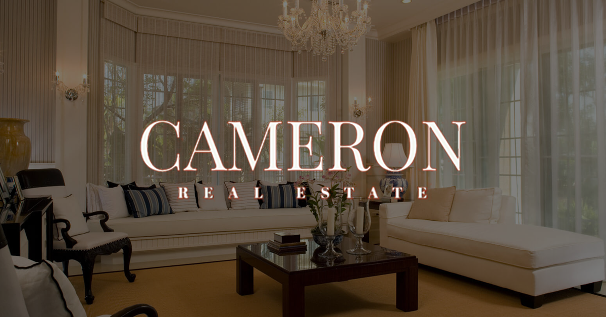 Cameron Real Estate +19566889051