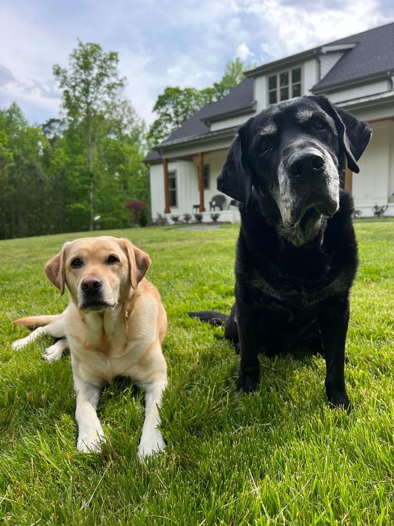 Sunny & Apollo