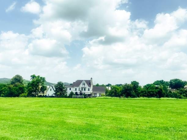 Homes with land in College Grove TN