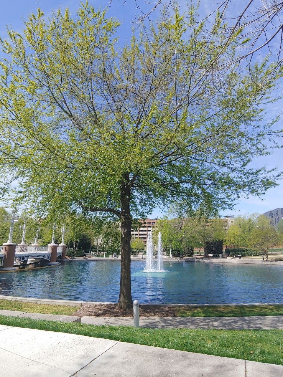 Cool Springs Franklin Tennessee