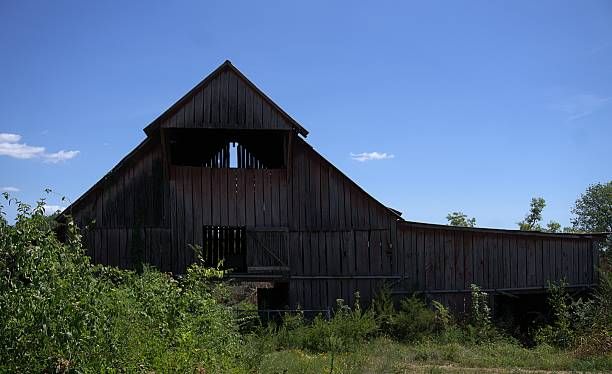 Country living near Christiana TN
