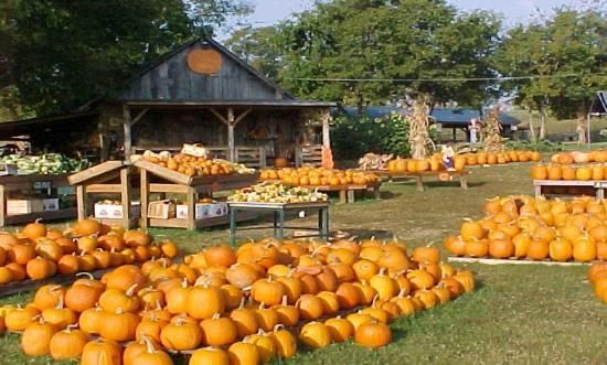 Walden Pumpkin Farm near Smyrna TN