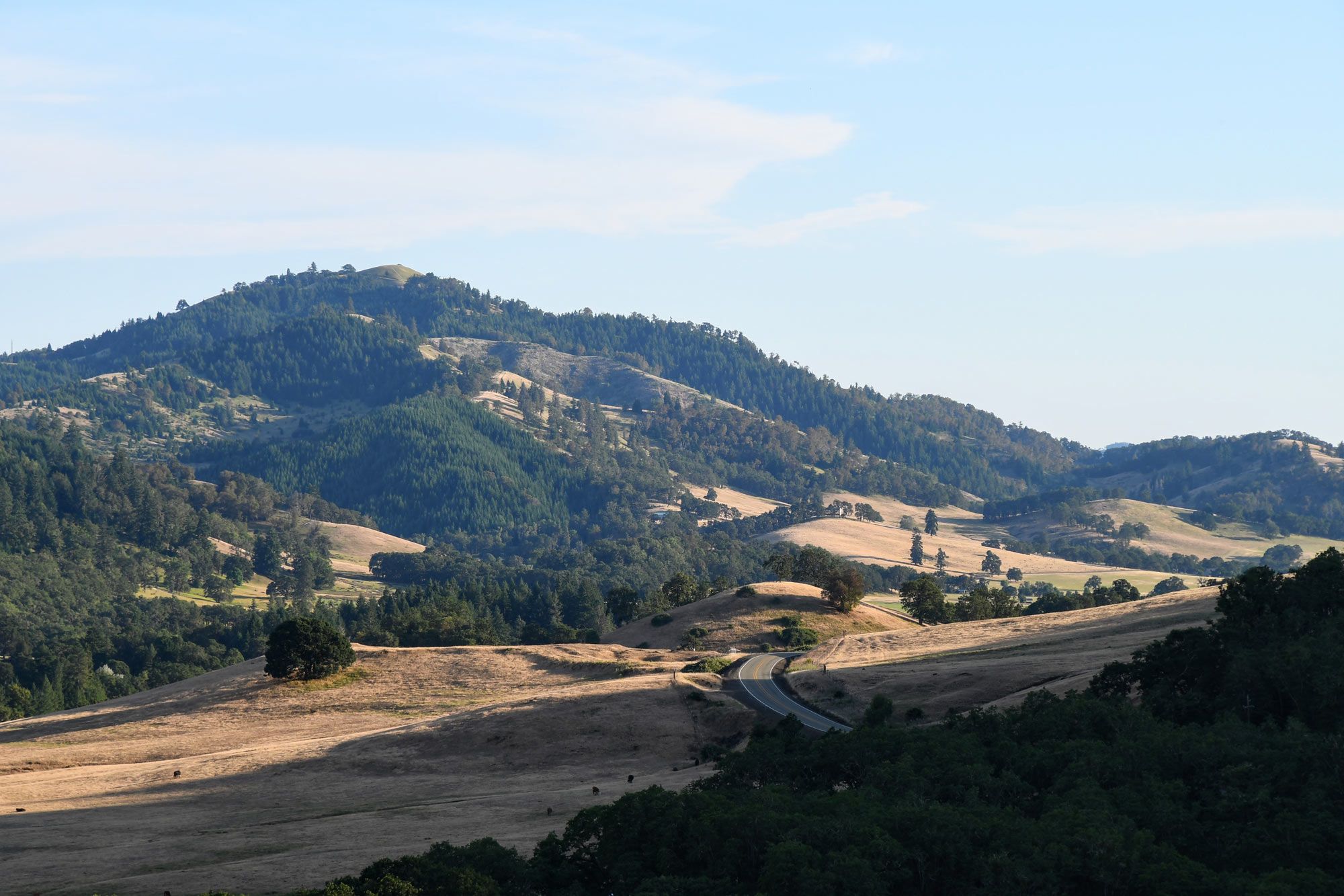 sunset bay with boats in it near cape cod