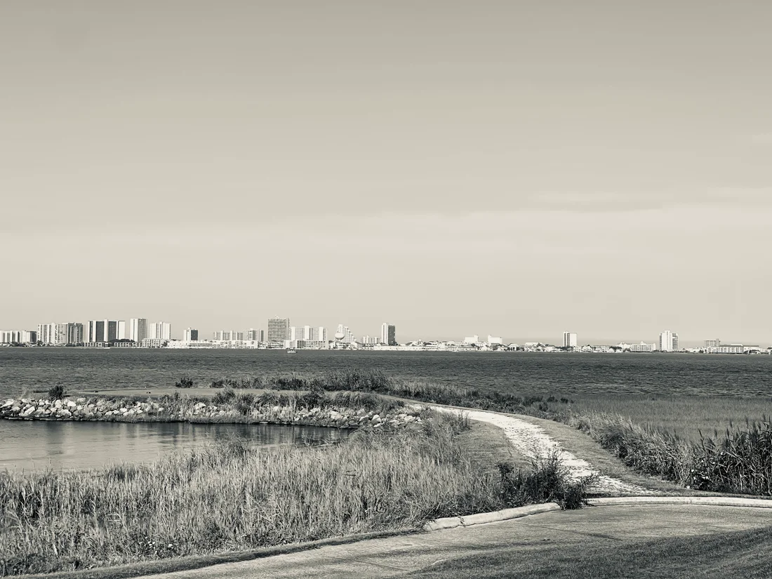 Coastal shoreline and marsh on Delmarva