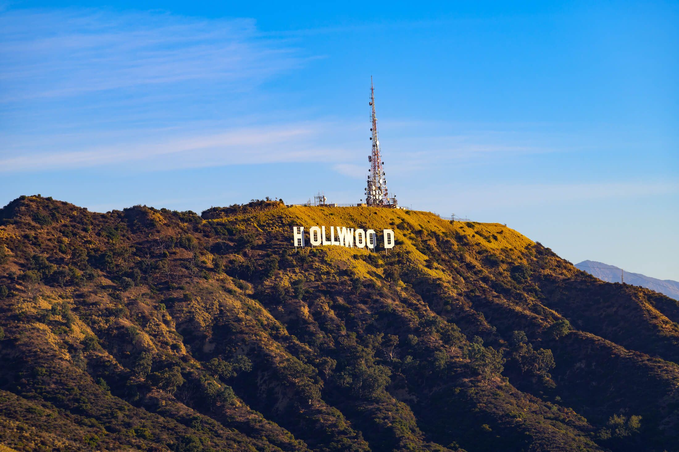 hollywood