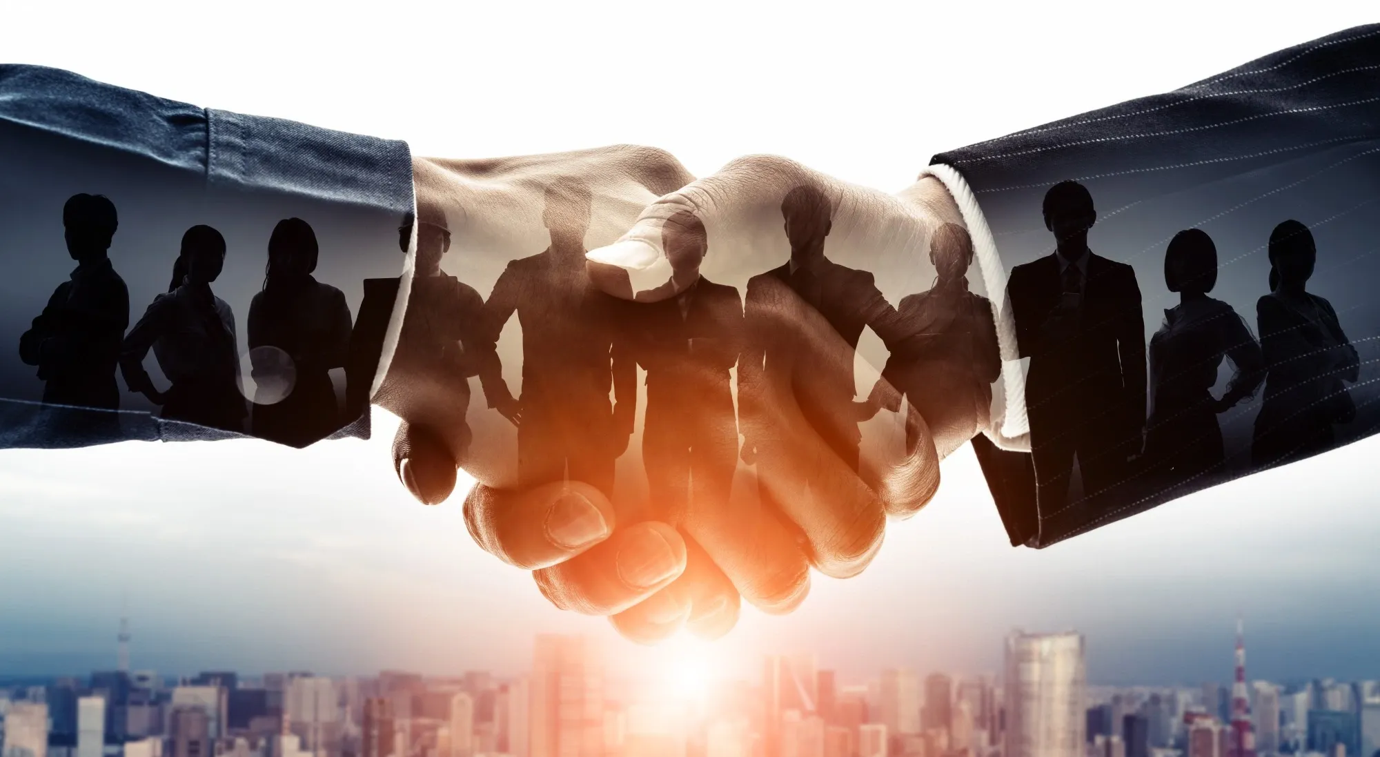 Handshake between business partners