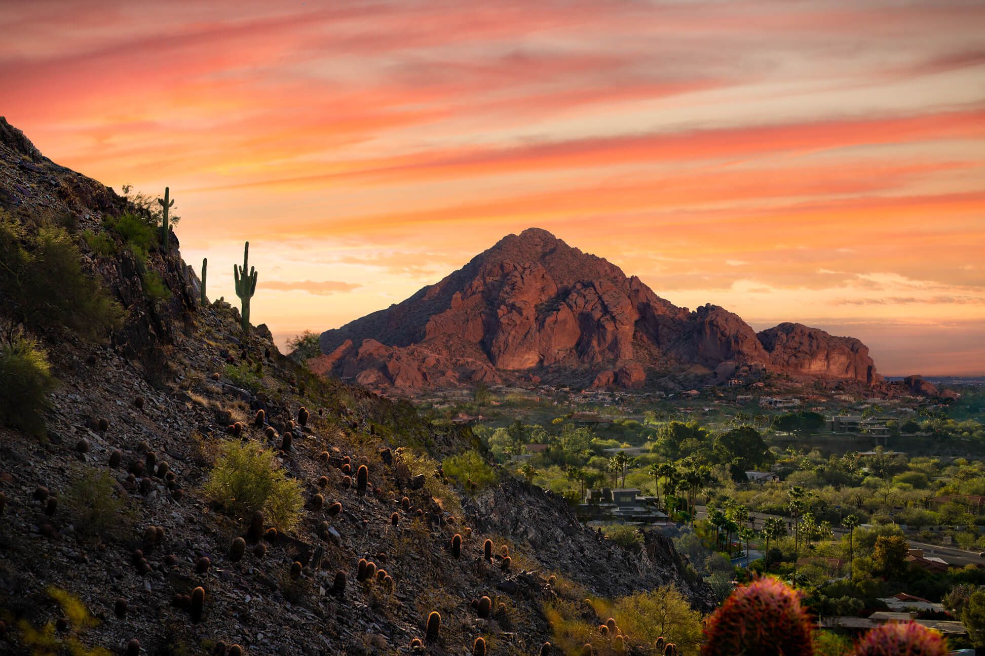 phoenix