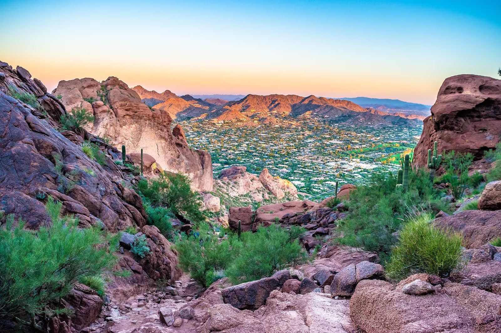phoenix