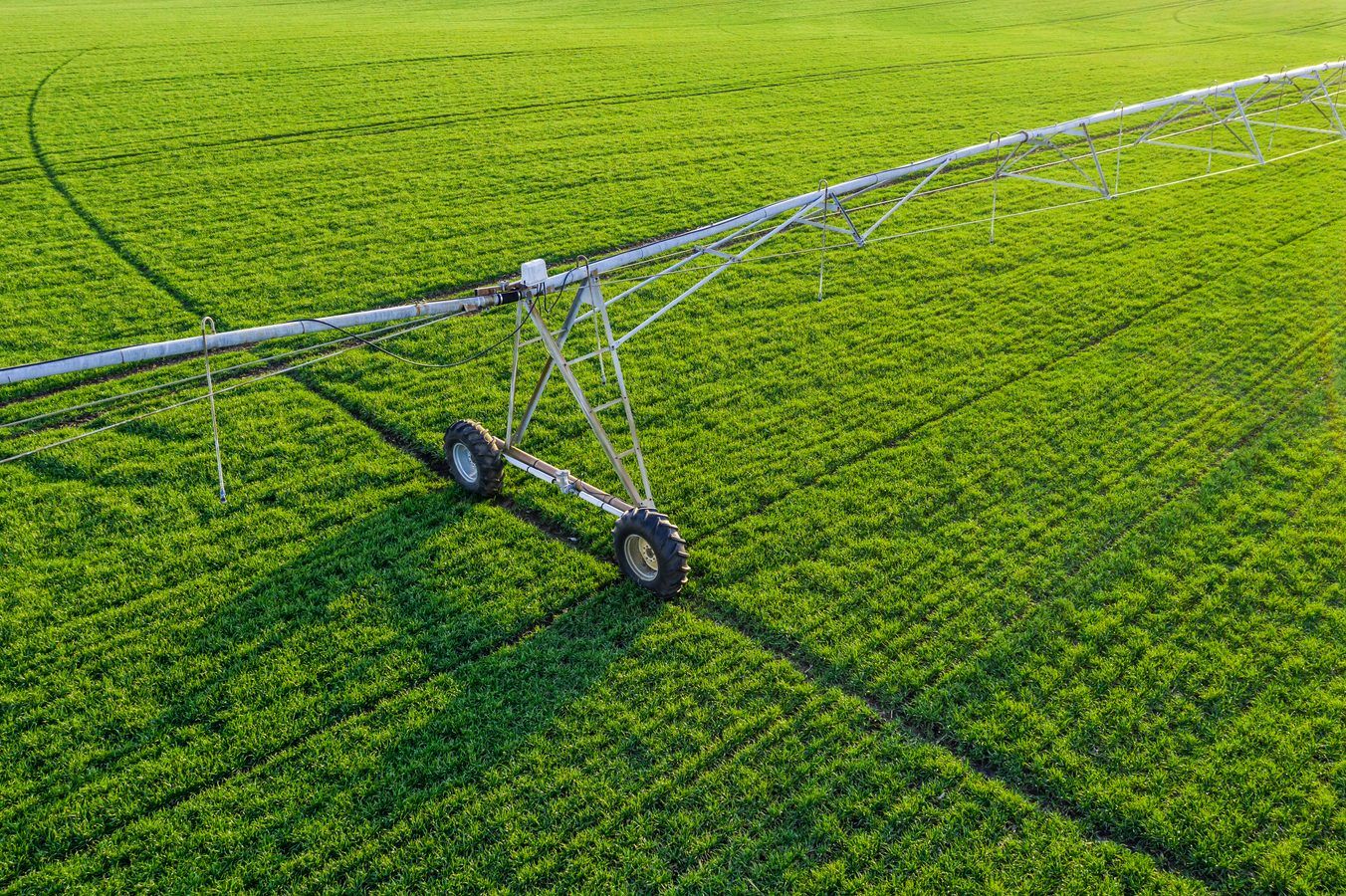 Irrigated farmland