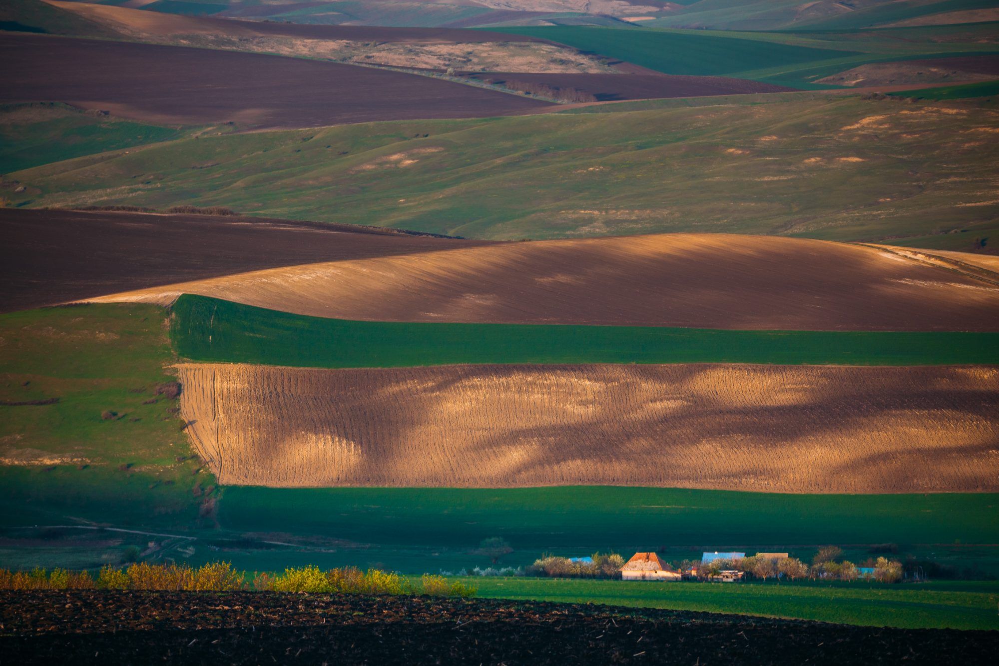 Rolling farmland and farm buildings in the Treasure Valley