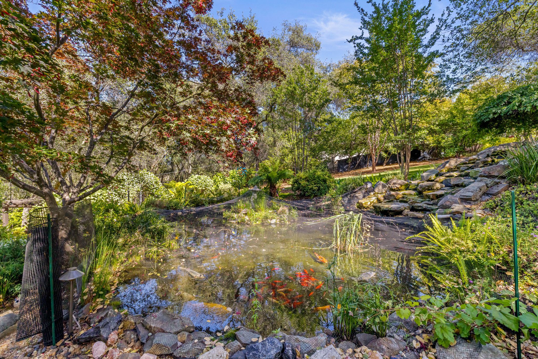 Lush grounds and mature oak canopy at 5161 Greyson Creek Drive, El Dorado Hills