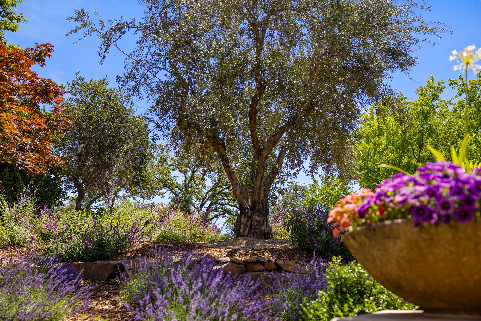 Entry courtyard with fountain at 5161 Greyson Creek Drive, guard-gated Serrano, El Dorado Hills