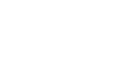 Rise Realty logo