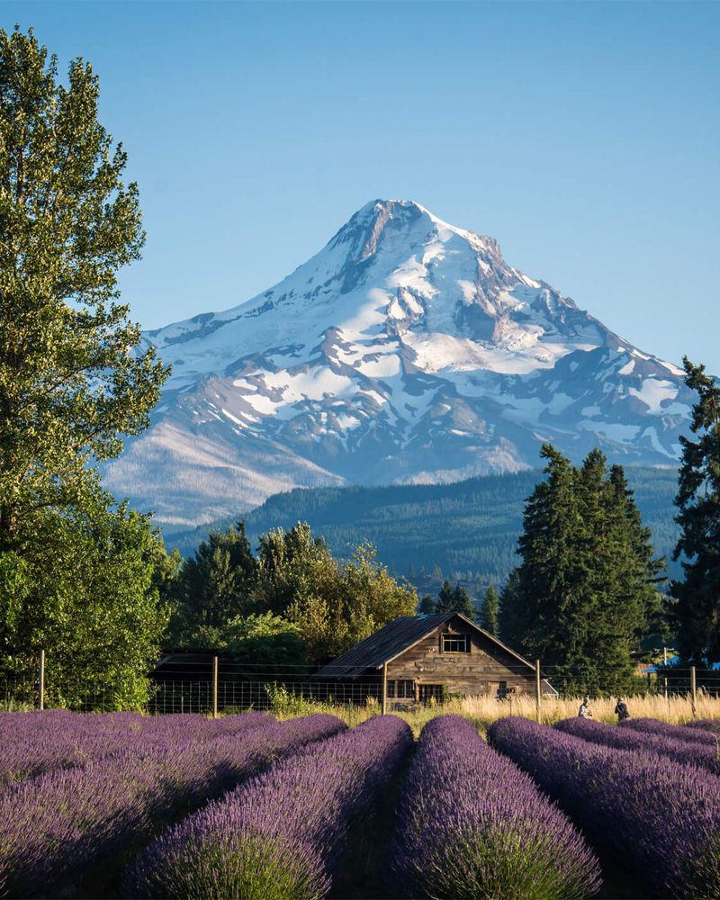 Savi Realty | Gabe Terreson | COLUMBIA RIVER GORGE