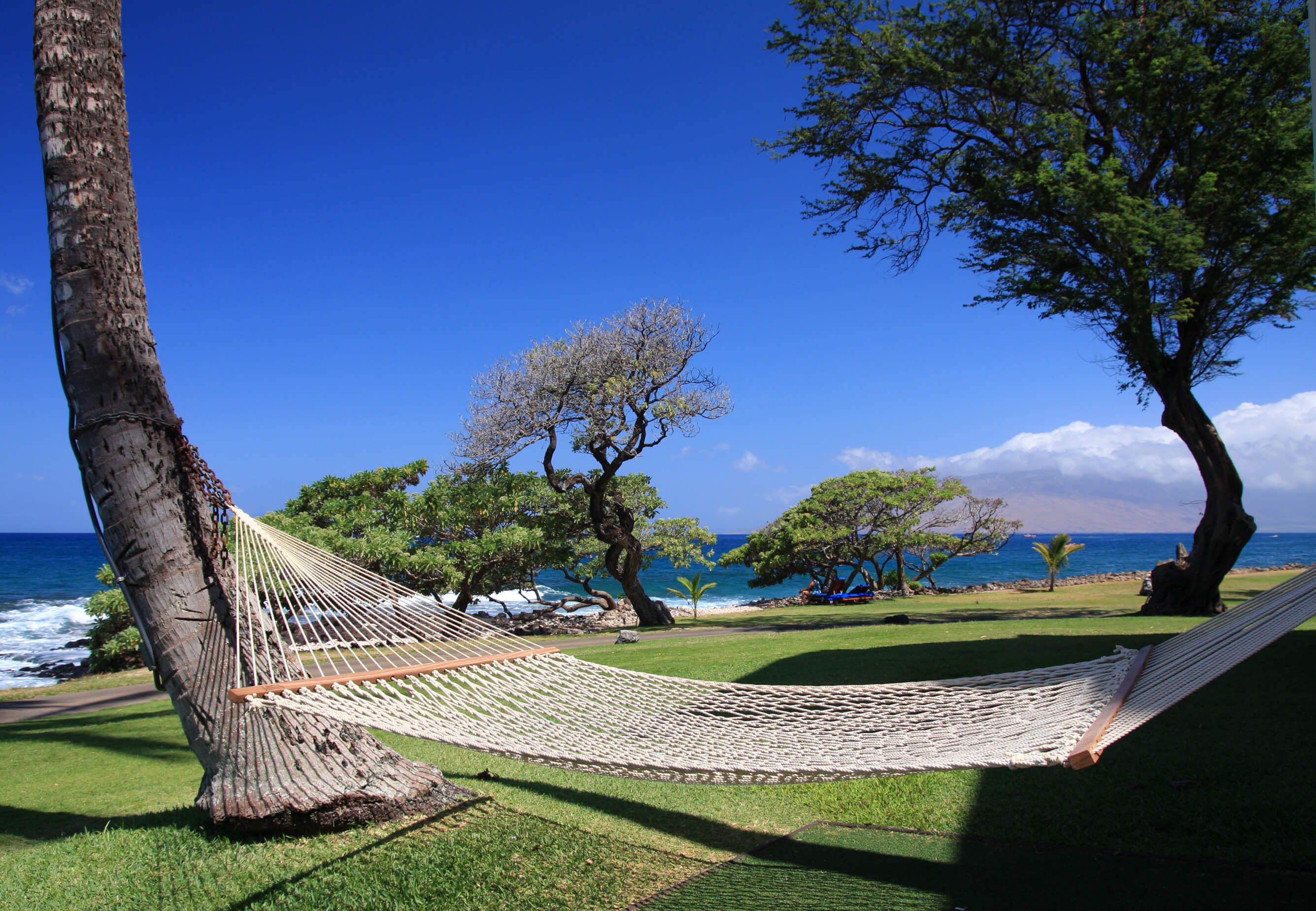 woman taking photo with camera
