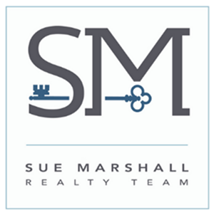 Logo of Dreamland Shooting Stars with a spaceship and star elements, representing a creative and futuristic theme
