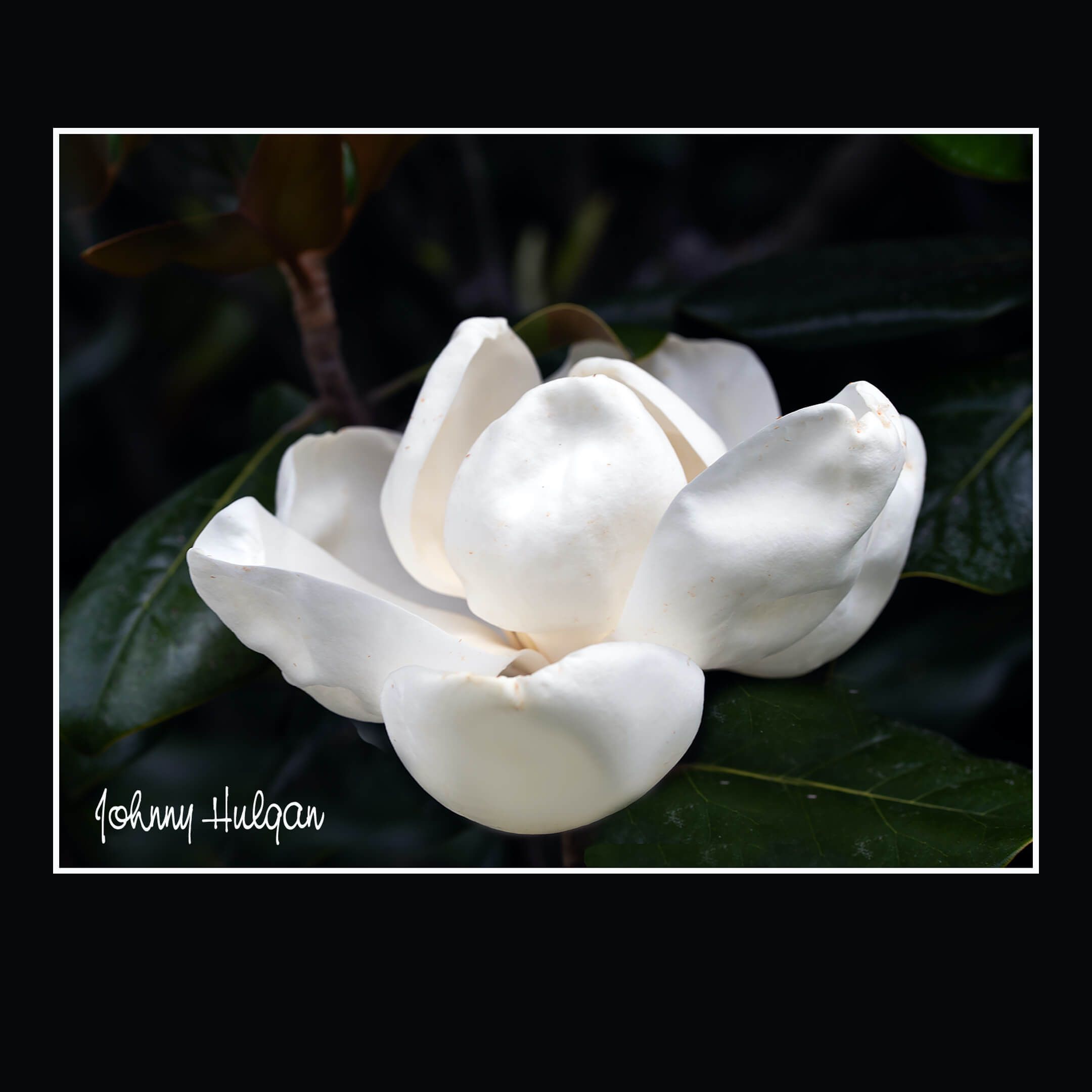 Couple receives keys to home