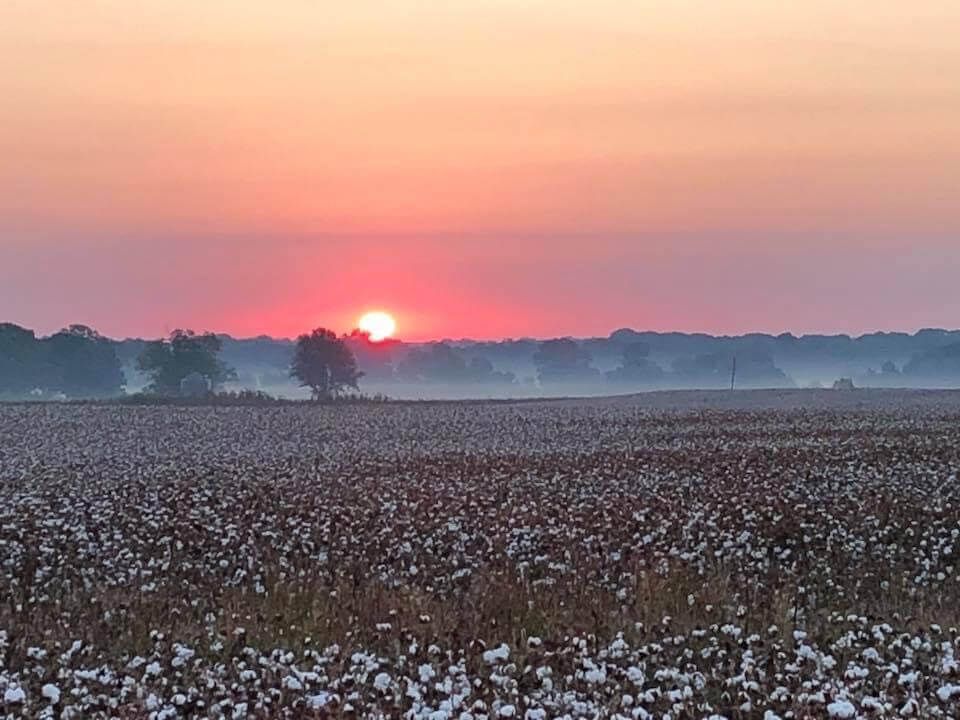 woman with glasses does paperwork by laptop