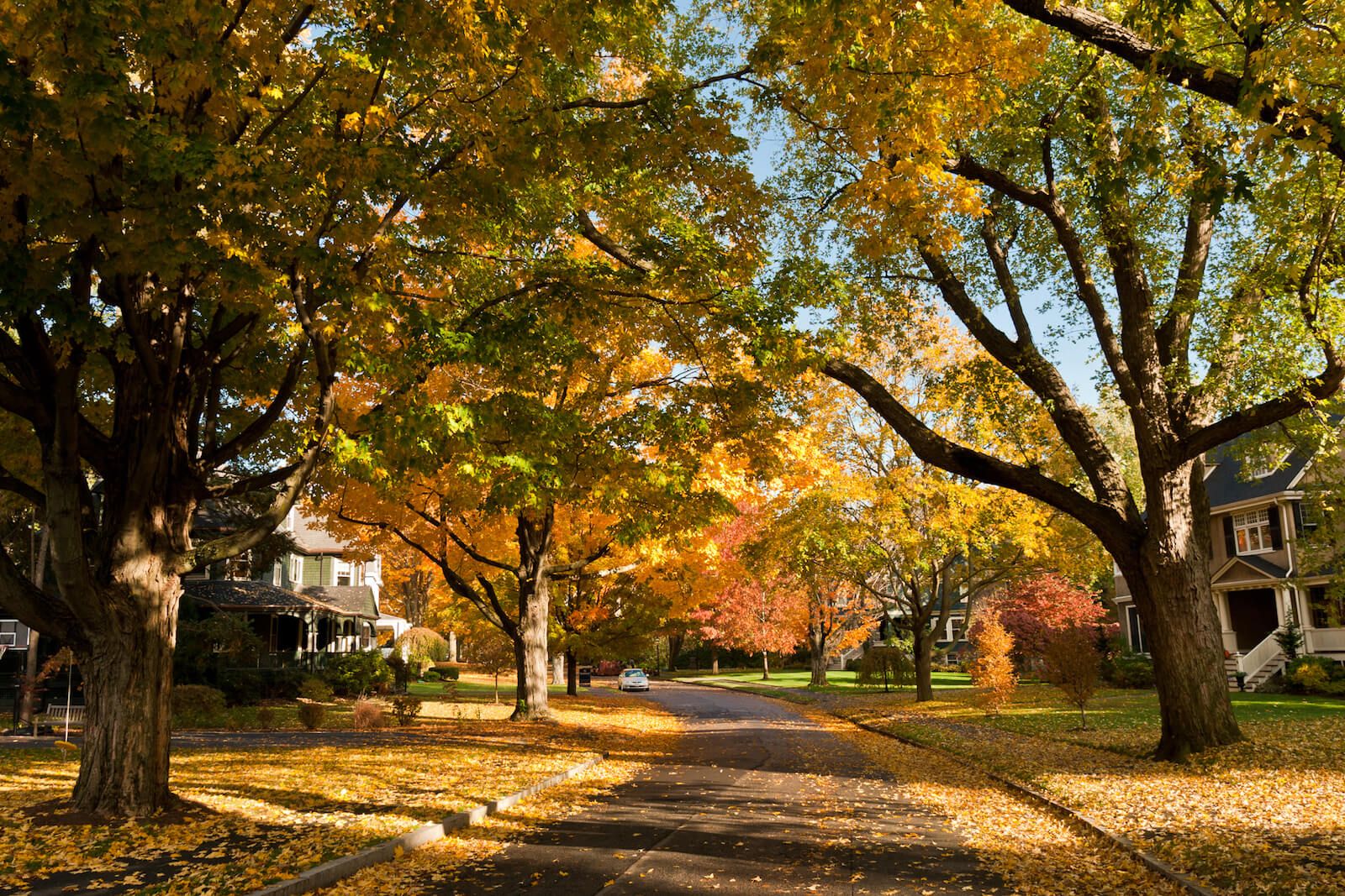 Newton Massachusetts