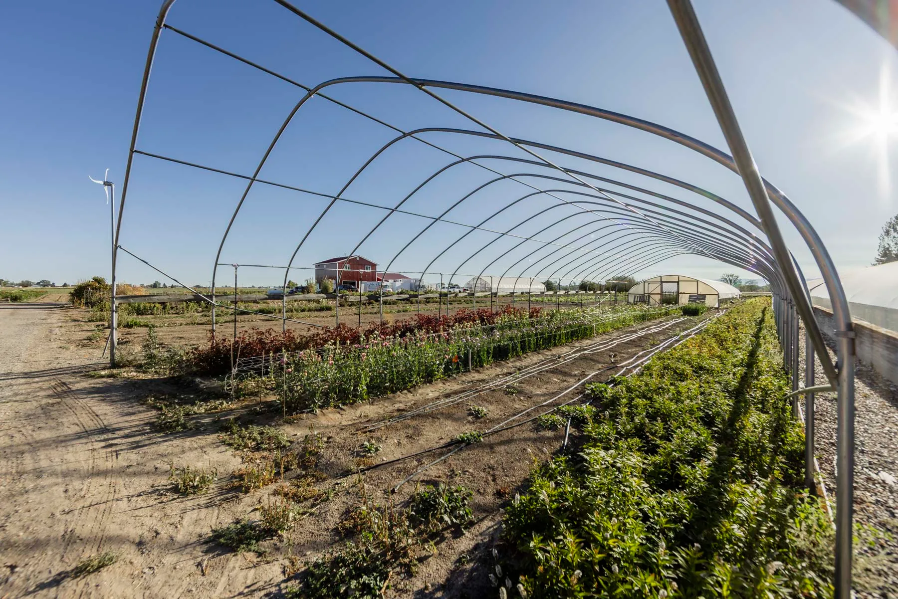 Flower beds beneath a growing structure at Florage