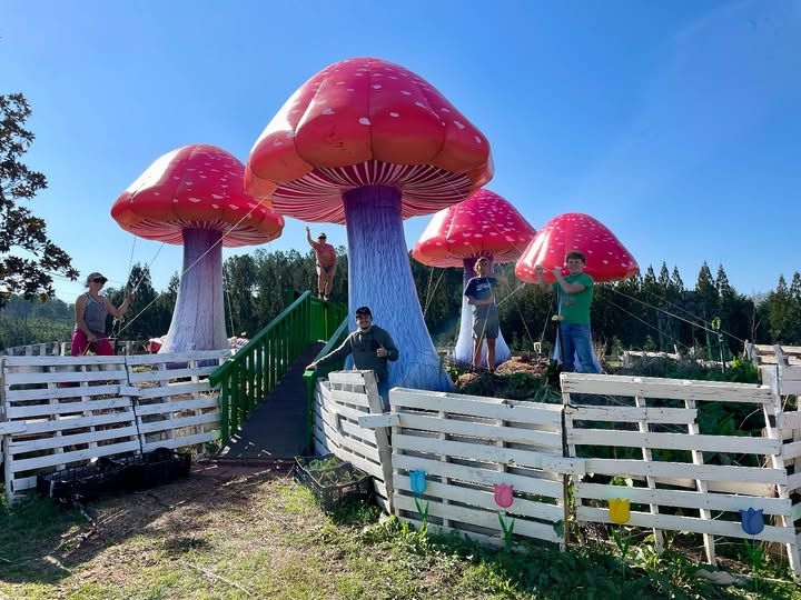 The Annual Tulip Festival at Yule Forest