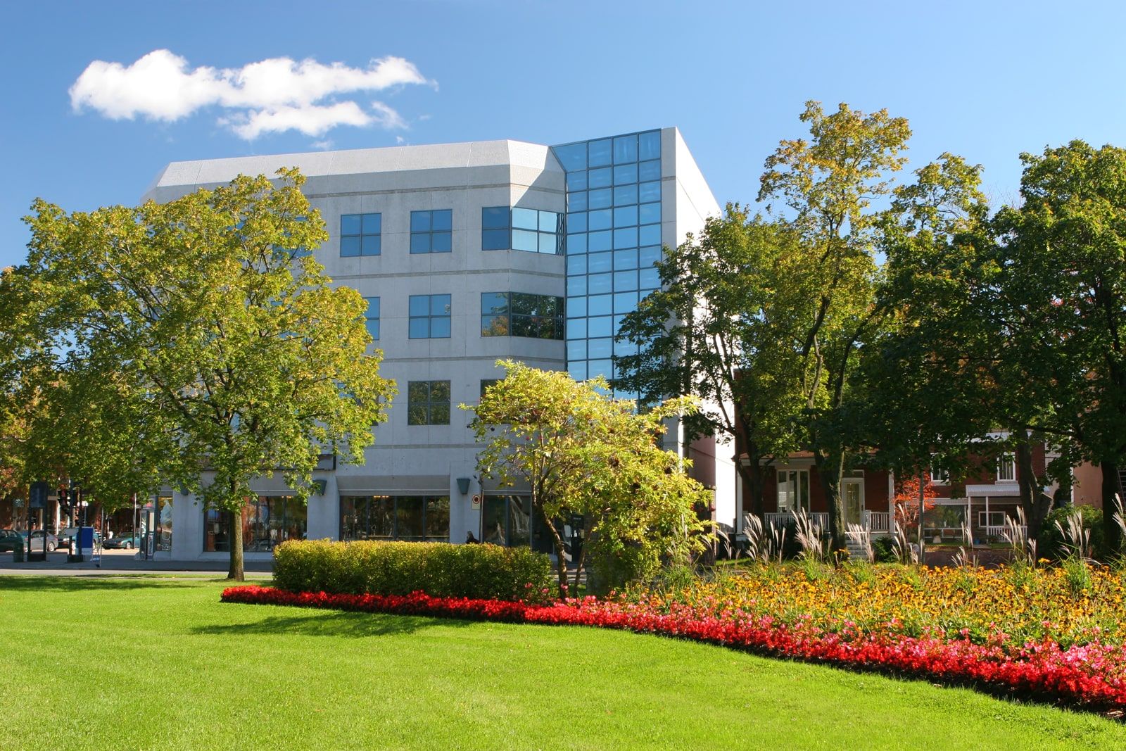 Commercial Building with Trees