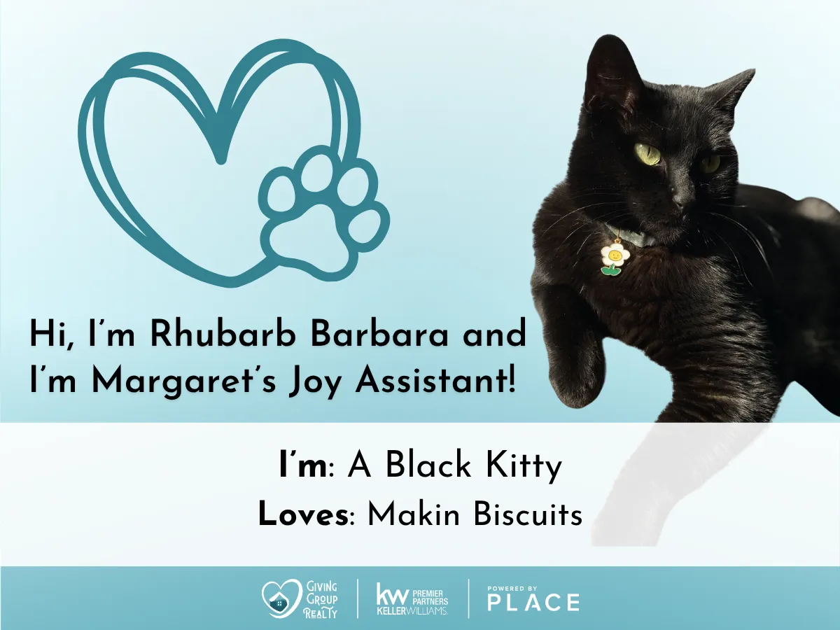 A black cat named Rhubarb Barbara and Margaret's Joy Assistant