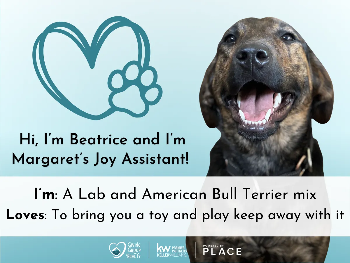 Beatrice, a lab and bull terrier mix and Margaret's Joy Assistant