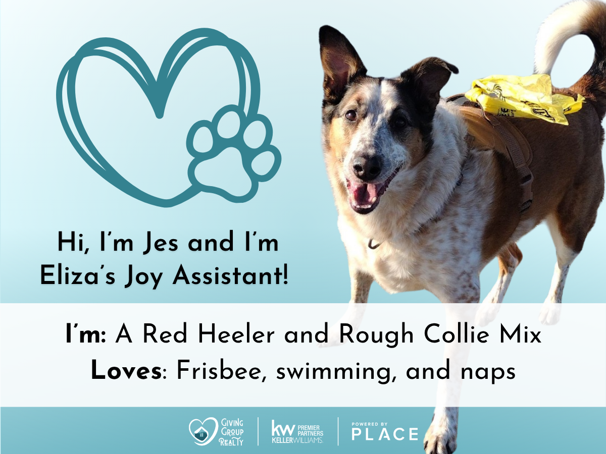 A Pomeranian mix named Louis