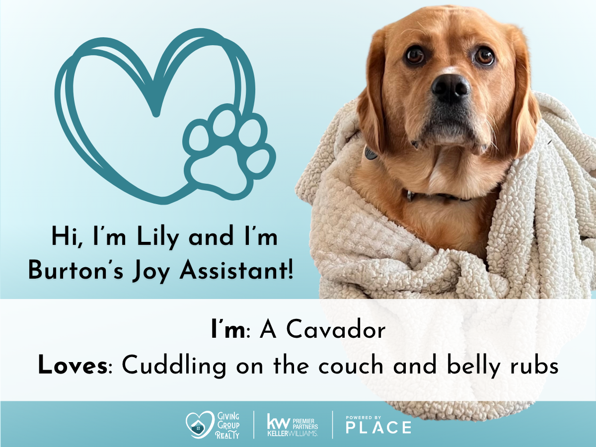 Photo of a cheerful mixed breed dog named Jess, a red-heeler and rough collie mix, with a blue background and a heart and paw print graphic, introducing Jess as a marketing Joy assistant who loves frisbee, swimming, and naps.