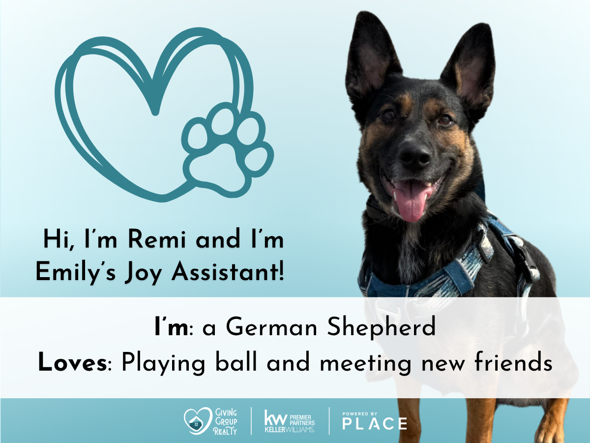 Photo of a blue nose pitbull dog named Luna Bug wearing a turquoise bandana, with a cartoon heart and paw print illustration, introducing herself as Melinda's joy assistant who loves afternoon naps with mom and whipped cream.