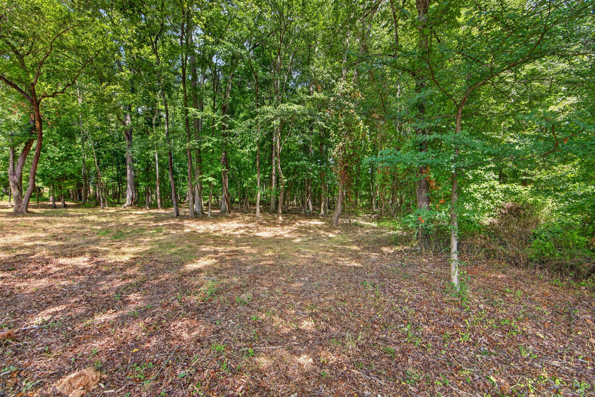 Private wooded acre at the rear of the property