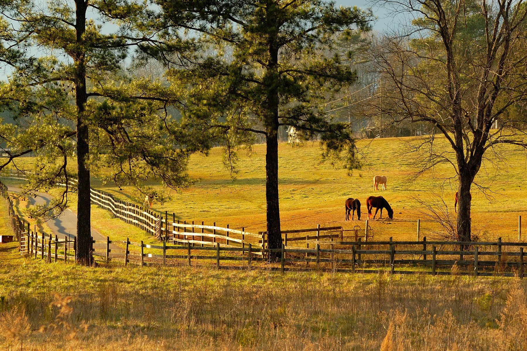 Couple receives keys to home