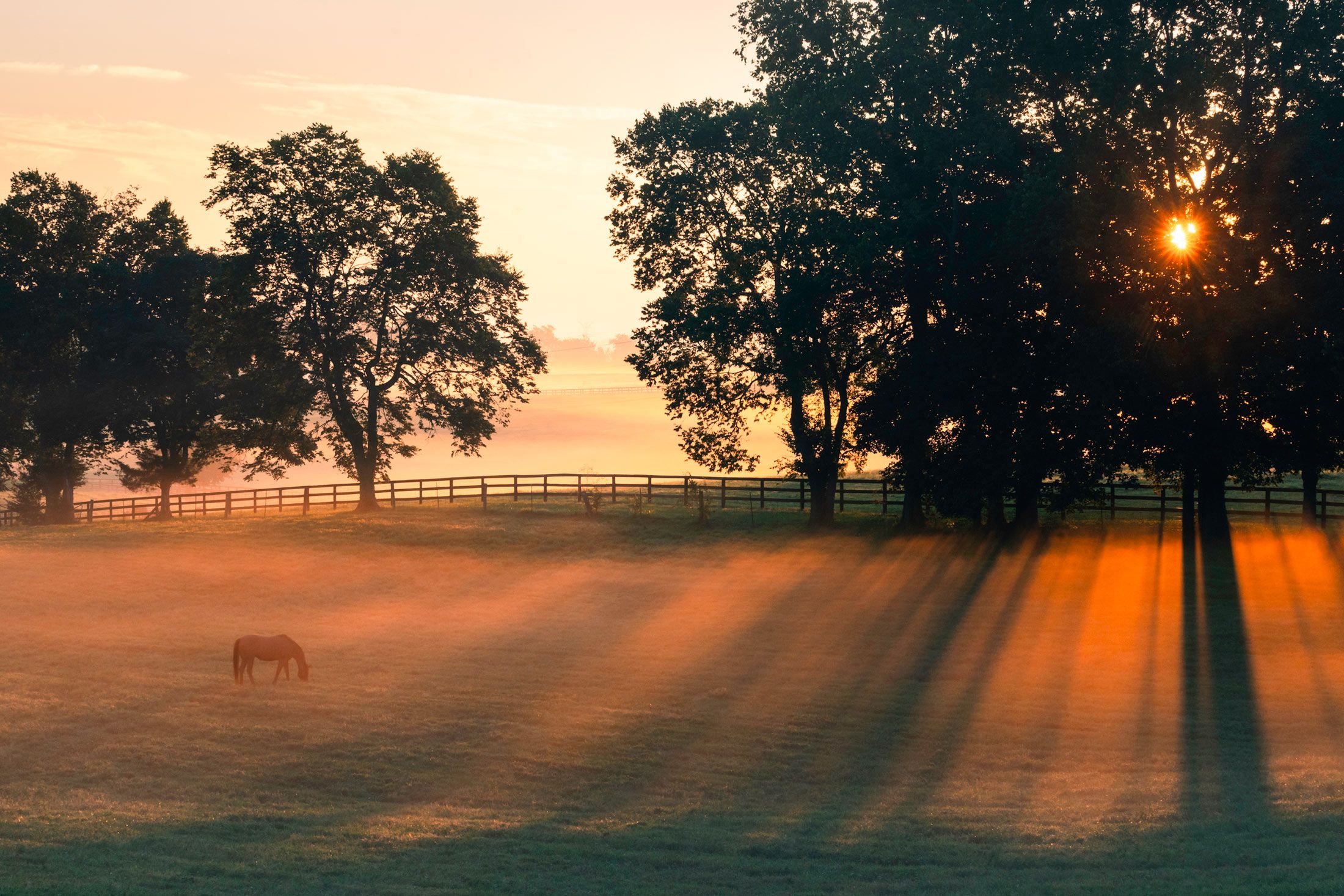 Couple cuddles on couch