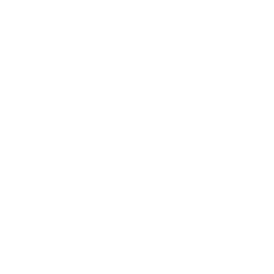 American Warrior real estate professional logo featuring an American flag design and text