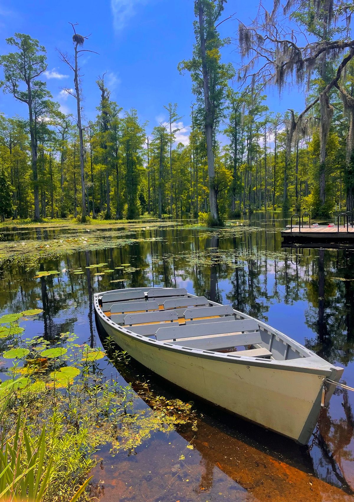 Boating in marshland