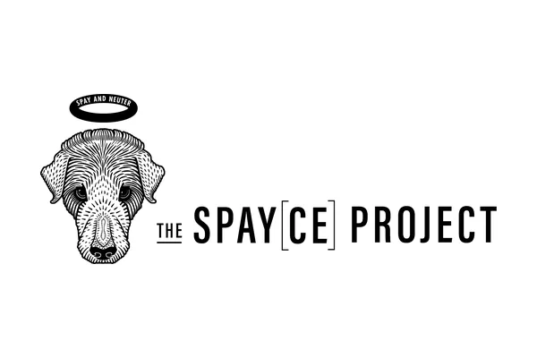 The Spayce Project