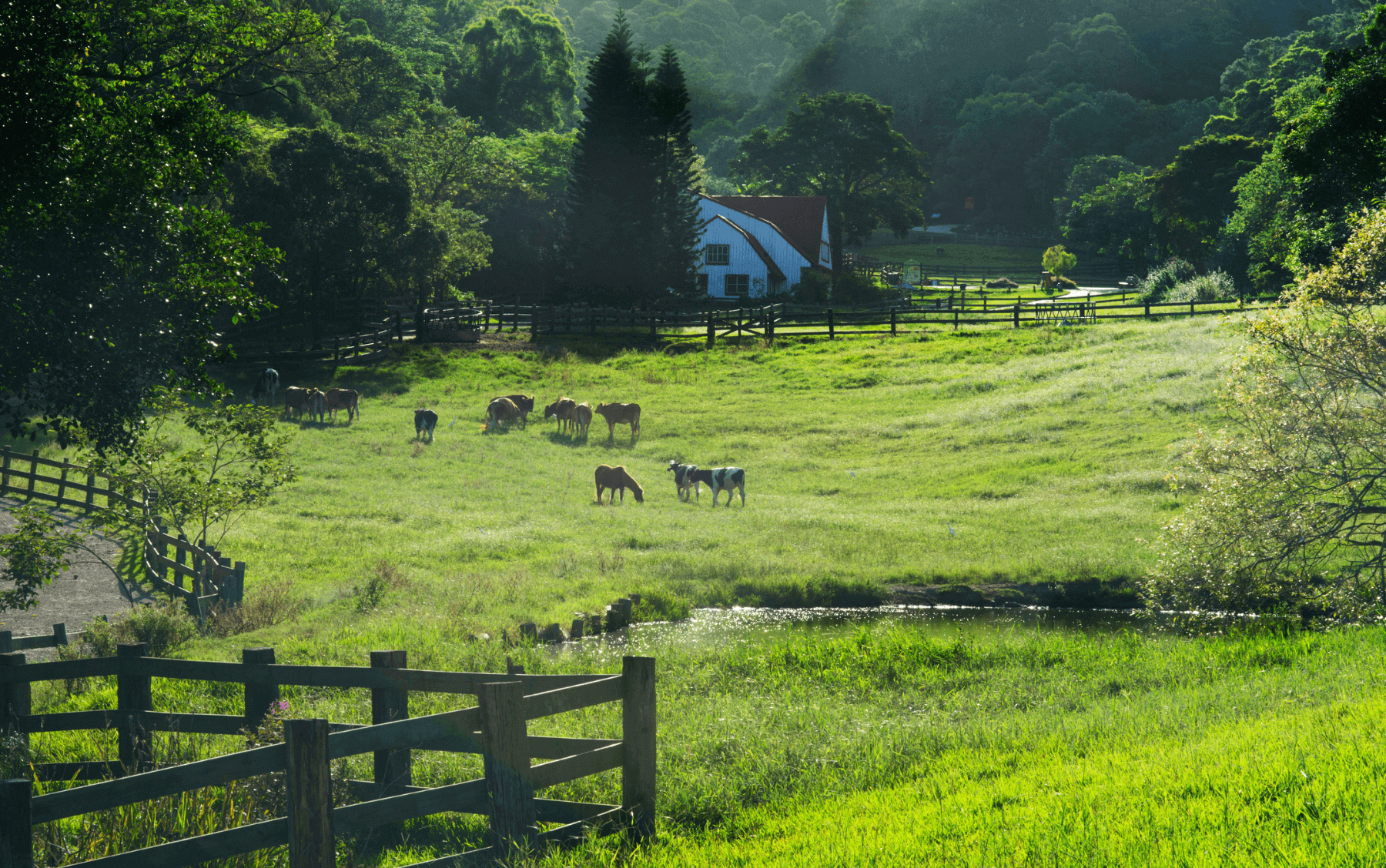 Agent house tour with couple