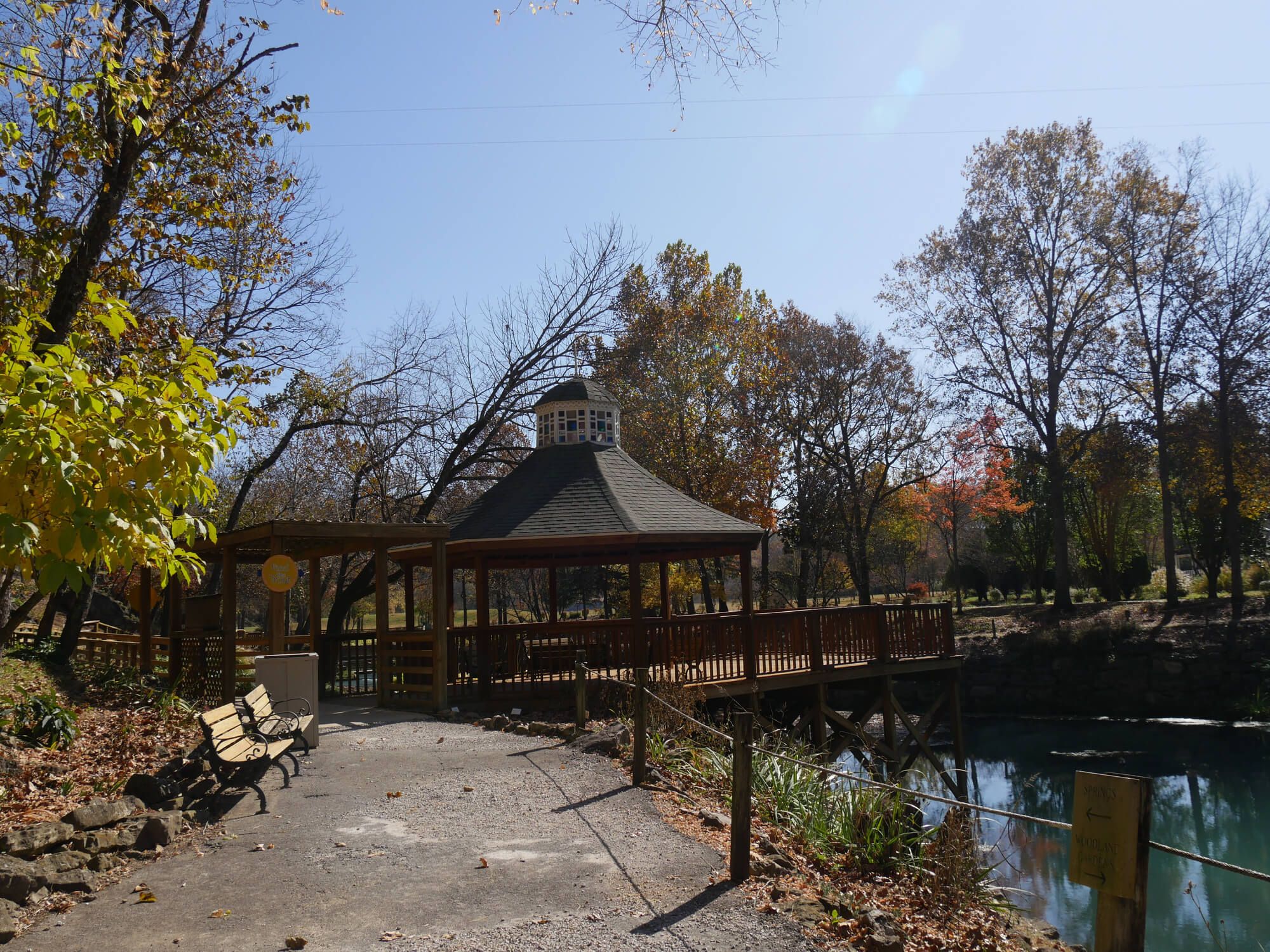 woman taking photo with camera