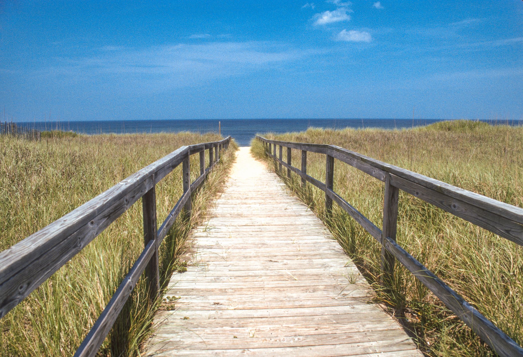 woman taking photo with camera