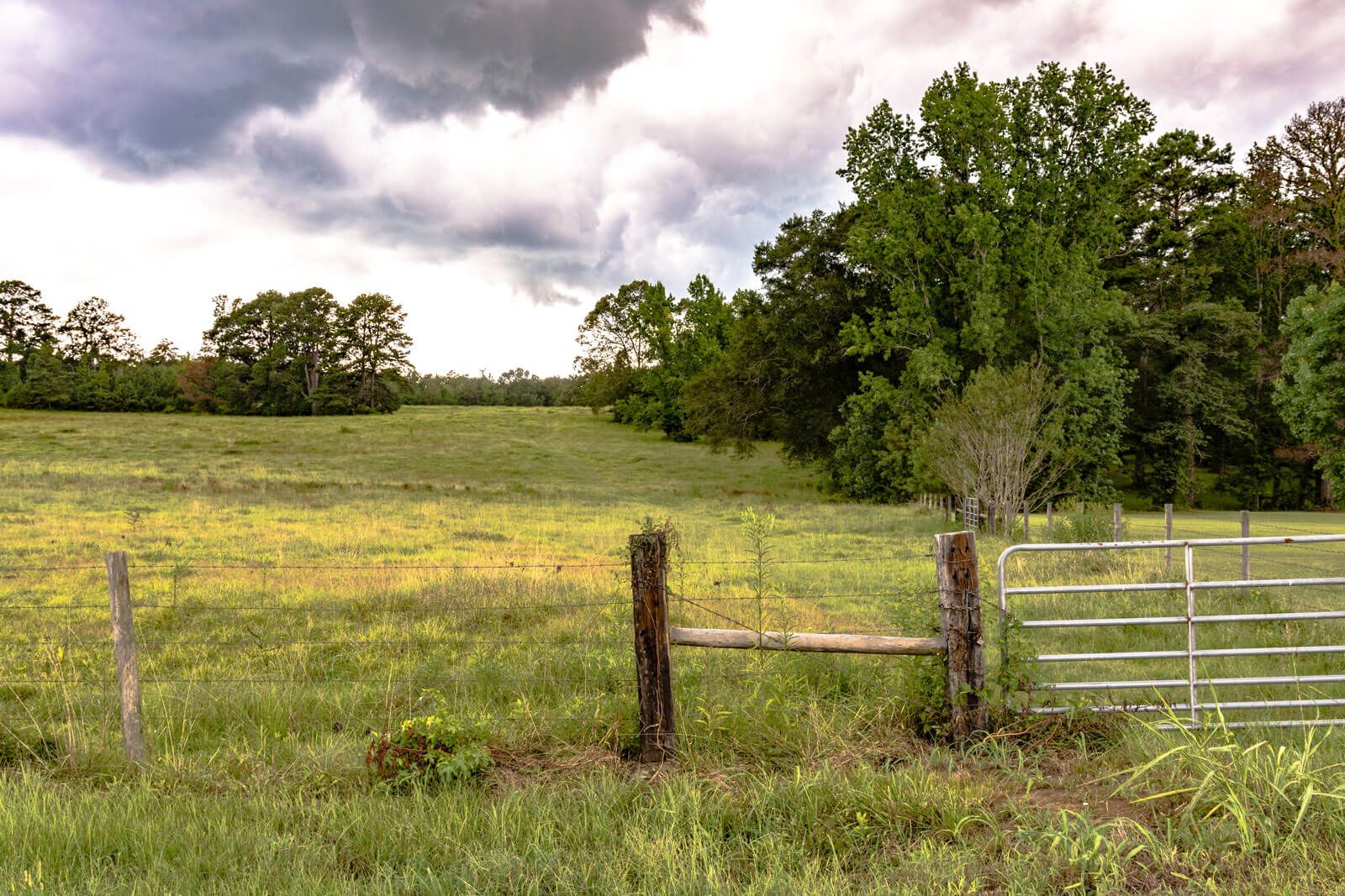 Agent house tour with couple