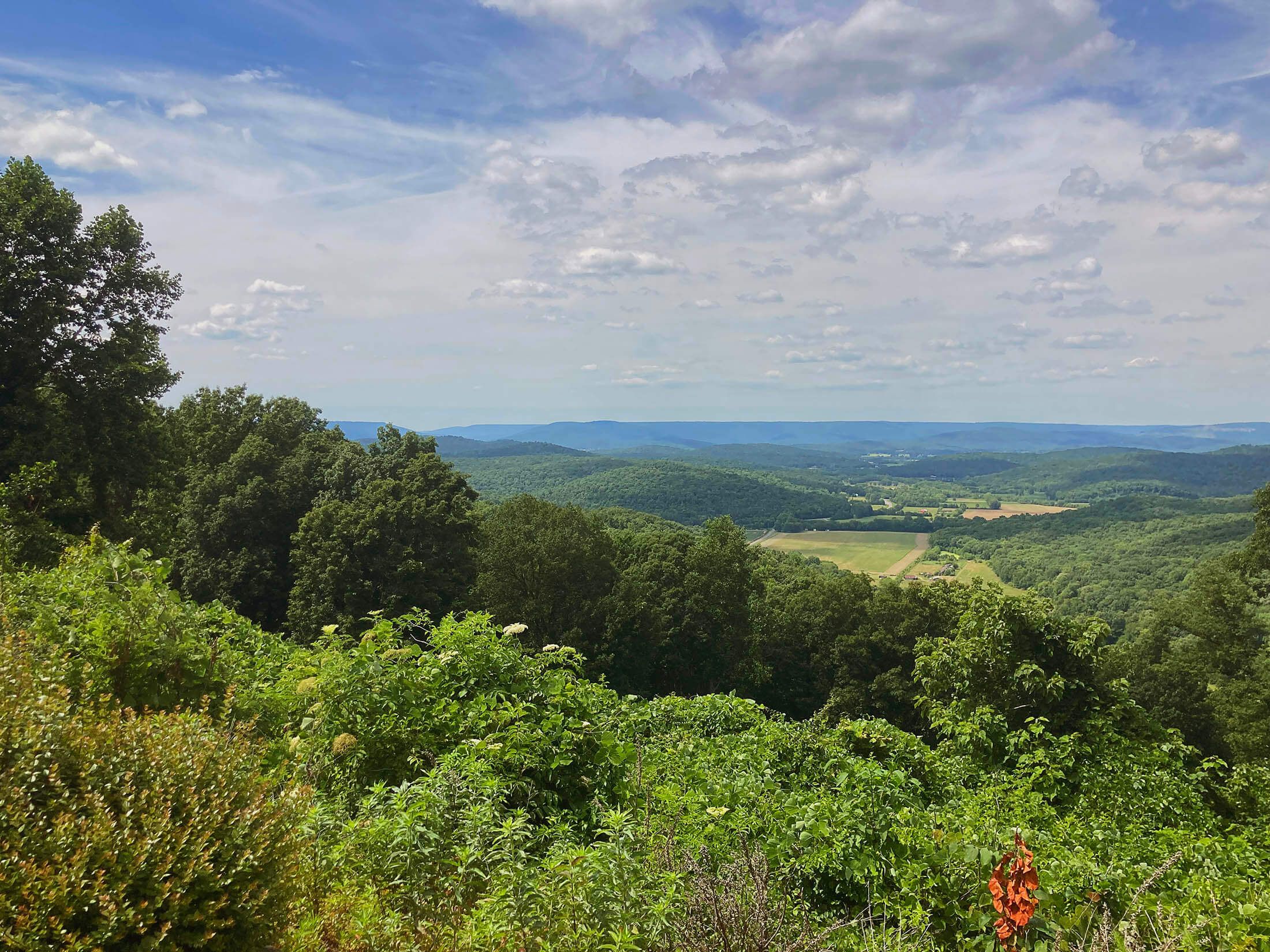 Mountainside