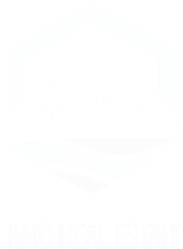 Brivity Logo