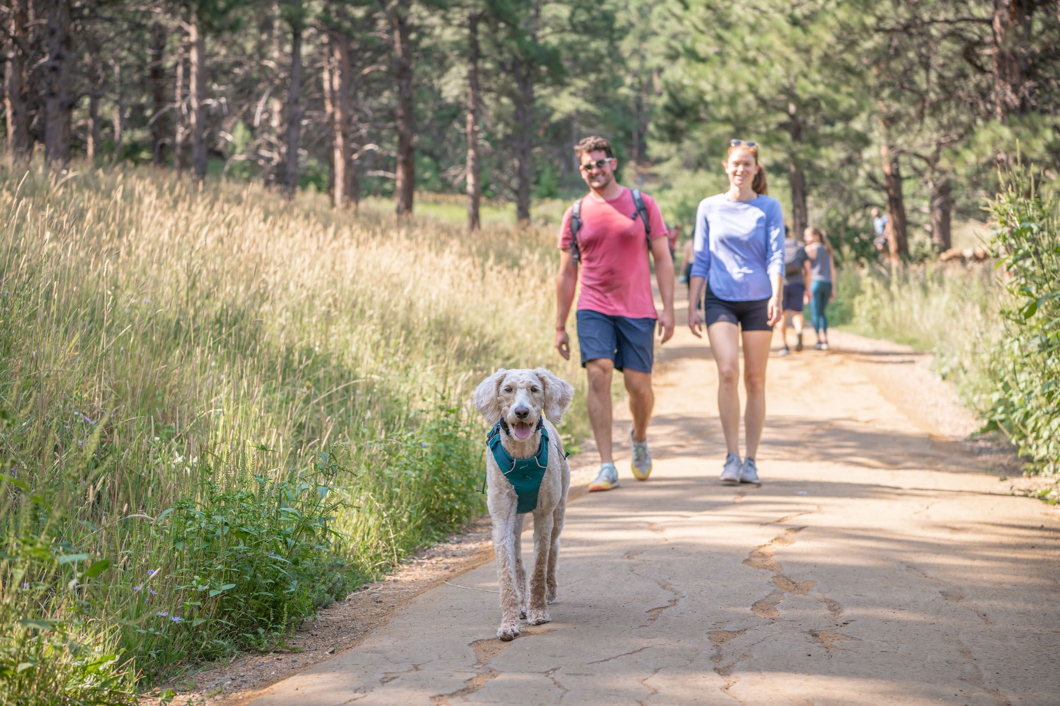 family walking trail