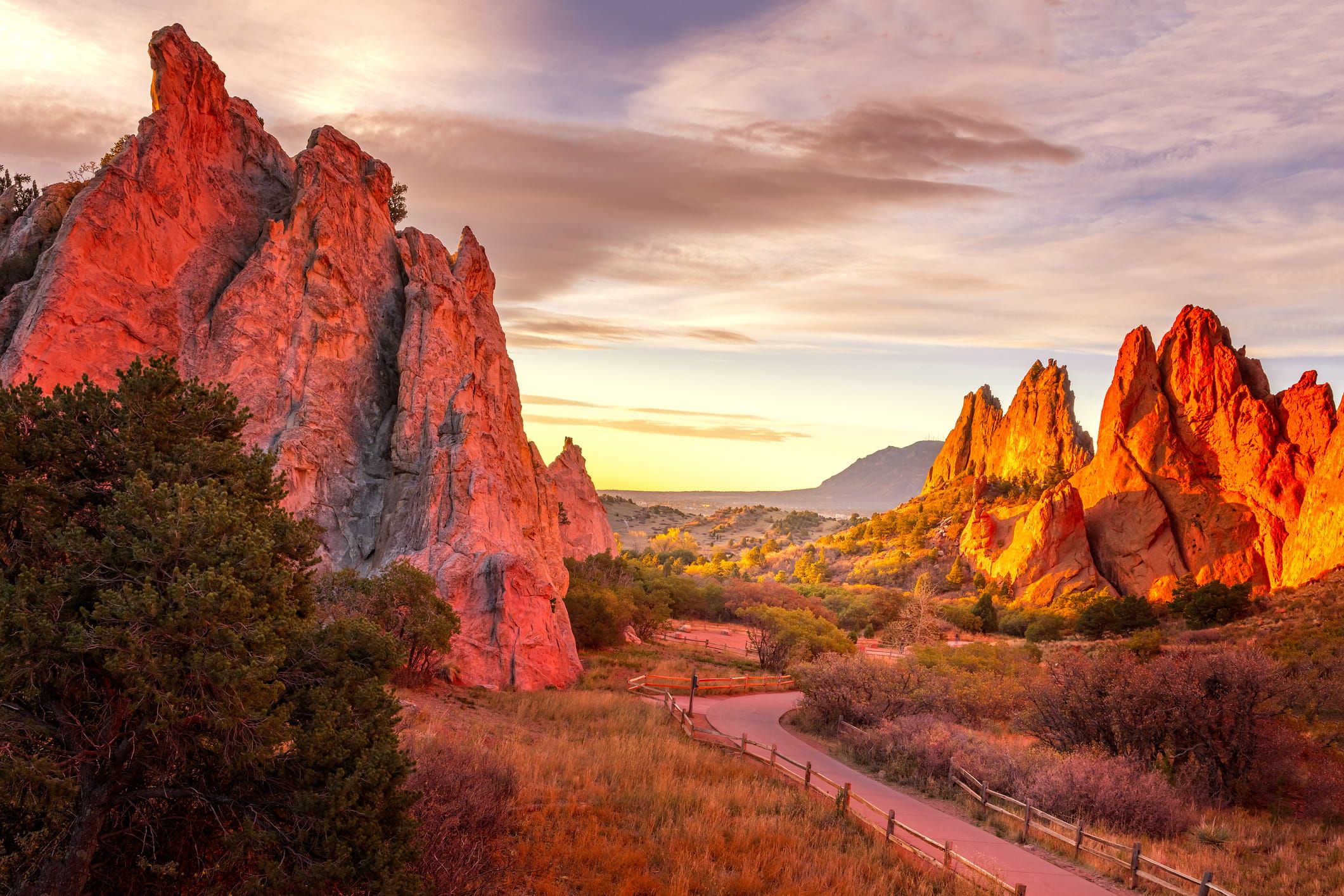 garden of the gods at night