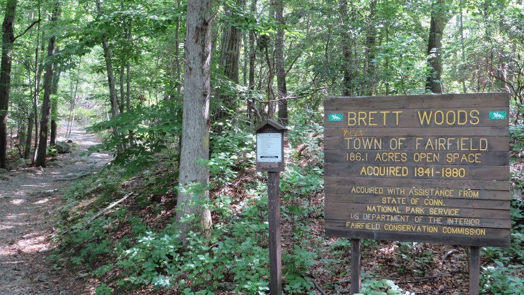 Brett Woods