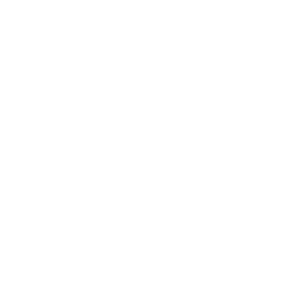 Development Logo