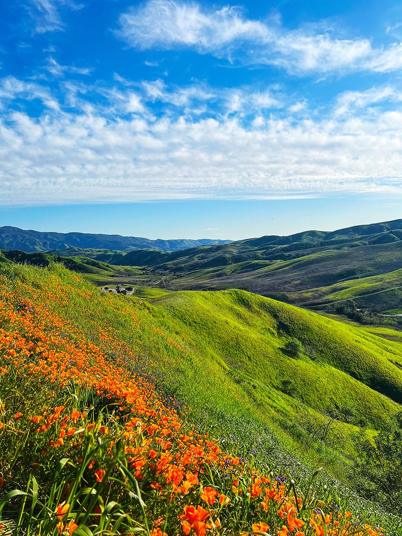 La Mirada California