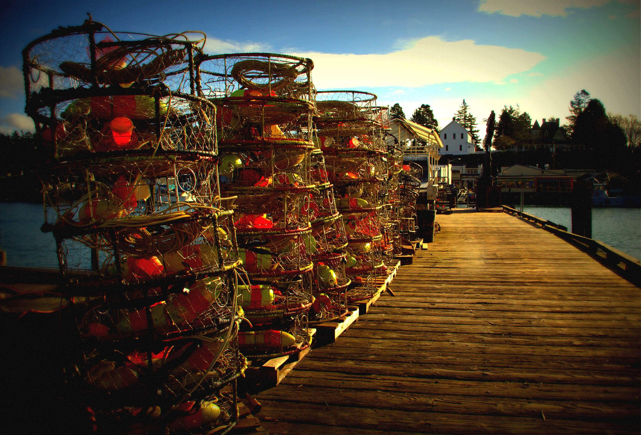 dock with crab pots in La Conner